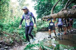 BIB: 
                            <button type="button" onclick="openModal(25474269)" class="btn btn-primary btn-sm float-right btn-popup" data-toggle="modal" data-target=".modal-high-quality">
                        <i class="fas fa-shopping-cart"></i> Add to Cart
                    </button>
                                            <button type="button" onclick="isThisMe(25474269, true)" class="btn btn-success btn-sm float-right btn-popup btn-isme hidden" data-toggle="tooltip" data-placement="bottom" title="นี่คือรูปของคุณใช่ไหม คลิกที่นี่เพื่อเอาเข้าอัลบั้ม">
                        <i class="fas fa-plus"></i> Add to album
                    </button>
                    <button type="button" onclick="isThisMe(25474269, false)" class="btn btn-warning btn-sm float-right btn-popup btn-isnotme hidden">
                        <i class="fas fa-ban"></i> Remove from album
                    </button>